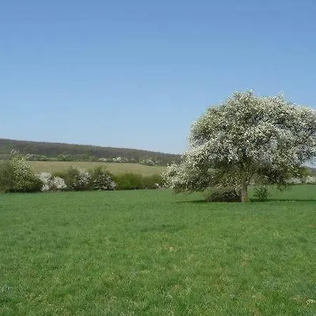 Oda ve Kahvaltı Sarffy House Dörgicse