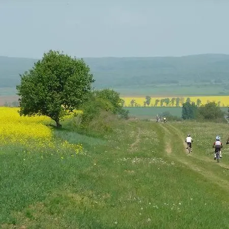 Sarffy House Oda ve Kahvaltı