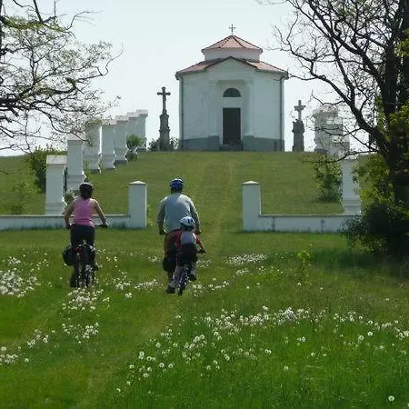 Oda ve Kahvaltı Sarffy House Dörgicse