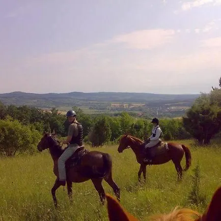 Oda ve Kahvaltı Sarffy House
