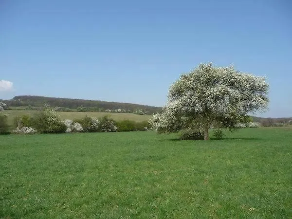 לינה וארוחת בוקר Sarffy House Dörgicse