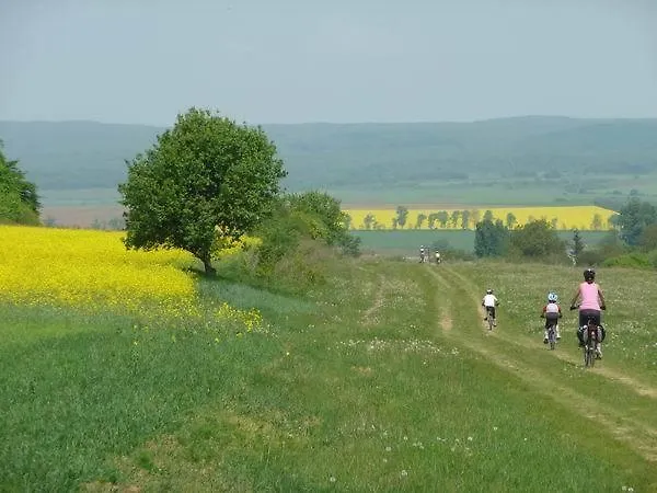 萨菲之家旅馆 住宿加早餐酒店