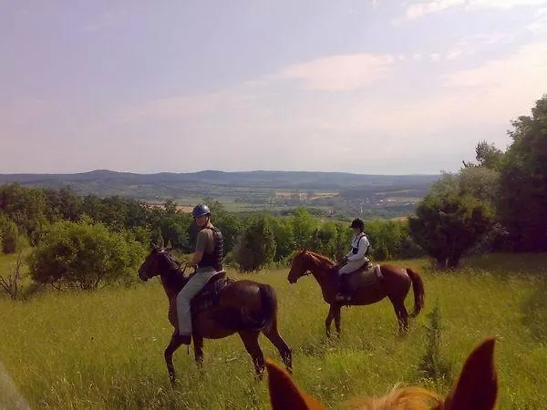 לינה וארוחת בוקר Sarffy House