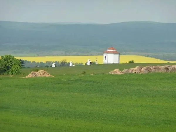 Sarffy House לינה וארוחת בוקר